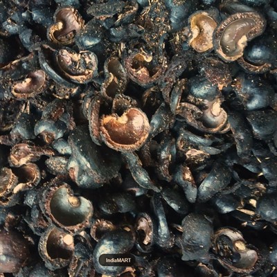 Biomassi koks kašupähkli kestadest