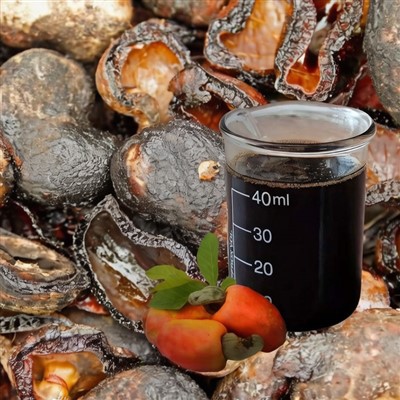 CNSL biokütuste tootmiseks